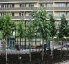 Продам студию в Краснодаре, Энка-п.Жукова, им. Лётчика Позднякова лит. 17 этап 5, 24.5 м²