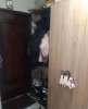 Сдам 3-комнатную квартиру, Ленина х., муниципальное образование  Буковый пер. 32, 65 м²