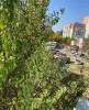 Продам 1-комнатную квартиру в Краснодаре, МХГ-СМР, Прикубанский внутригородской округ, 32 м²