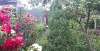 Продам дом в Краснодаре, Центр, муниципальное образование некоммерческое садовое товарищество Кубань Садовая ул. 19, 224.1 м², 10 соток