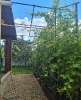 Продам дом в Краснодаре, Немецкая деревня, 2-й Звенигородский пр., 150 м², 3 сотки