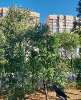 Продам 2-комнатную квартиру в Краснодаре, Авиагородок-9км, ул.  15, 43.6 м²
