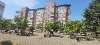 Сдам 1-комнатную квартиру, Березовый п., Душистая, 35/25/10 м²