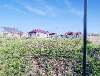 Продам участок, Елизаветинская ст., Прикубанская, 8 соток