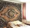Продам дом, Елизаветинская ст., муниципальное образование  Новая ул., 33 м², 7 соток