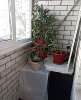 Продам 1-комнатную квартиру в Краснодаре, ККБ, Черкасская ул. 105, 41 м²