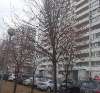 Продам 1-комнатную квартиру в Краснодаре, ЗИП, Прикубанский внутригородской округ микрорайон Московский ул. им. Котлярова Н.С. 10, 35 м²