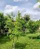 Продам дом, Ленина х., муниципальное образование, 250 м², 8 соток