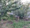 Продам дом в Краснодаре, РИП, ул. имени 31-й Стрелковой Дивизии 64, 135 м², 3 сотки