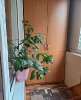 Продам 3-комнатную квартиру в Краснодаре, КМР, Карасунский внутригородской округ  ул. 30-й Иркутской Дивизии 6, 69 м²