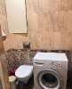 Продам 3-комнатную квартиру в Краснодаре, Табачка-ШМР, ул. имени Жлобы 141, 85.7 м²