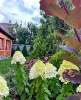 Продам дом в Краснодаре, ПМР, Карасунский внутригородской округ  ул. Леонида Лаврова, 176 м², 8 соток
