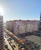 Сдам студию в Краснодаре, РИП, ул. Евгении Жигуленко 11к1, 24 м²