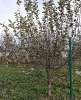 Продам дом, Краснодарский п., муниципальное образование садовое товарищество Урожай Ореховая ул. 502, 18 м², 8 соток