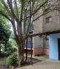 Продам 1-комнатную квартиру в Краснодаре, Энка-п.Жукова, Кореновская ул. 45, 39.9 м²