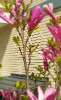 Продам студию в Краснодаре, МХГ-СМР, Круговая ул. 4Вк7, 26.5 м²