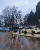 Сдам студию в Краснодаре, КСК, Карасунский внутригородской округ мкр-н Камвольно-суконный Комбинат Магистральная ул. 11к3, 29 м²