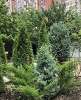 Продам дом, Знаменский п., муниципальное образование, 120 м², 4 сотки