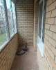 Сдам 2-комнатную квартиру, Краснодарский п., ул. им. Сорока А.М. 2, 54 м²